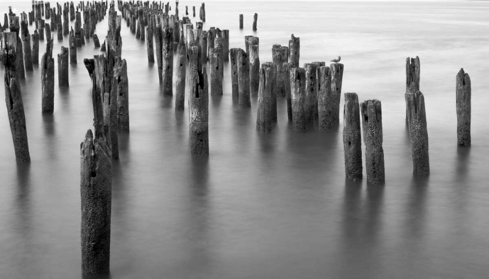 Hudson River Pilings art print by Bill Carson Photography for $57.95 CAD