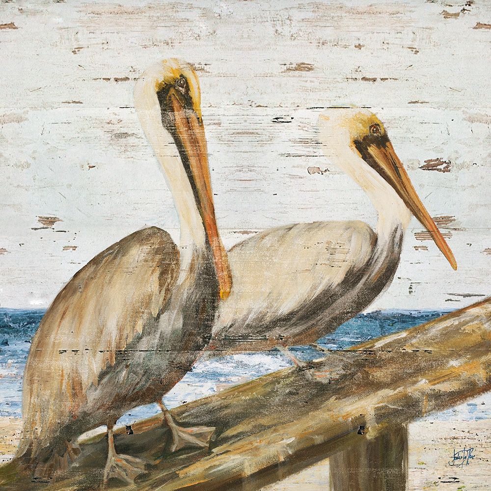 Pelican Square II art print by Julie DeRice for $57.95 CAD