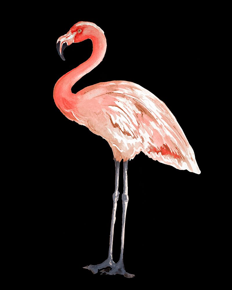 Flamingo on Black I art print by Patricia Pinto for $57.95 CAD