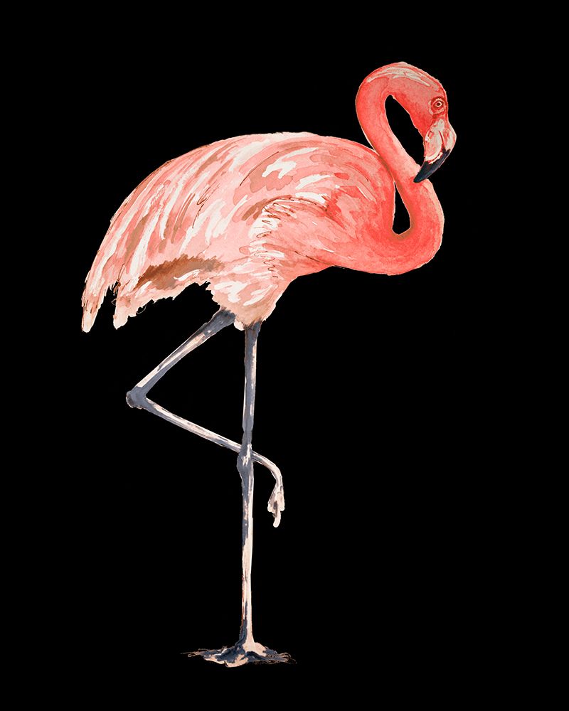 Flamingo on Black II art print by Patricia Pinto for $57.95 CAD