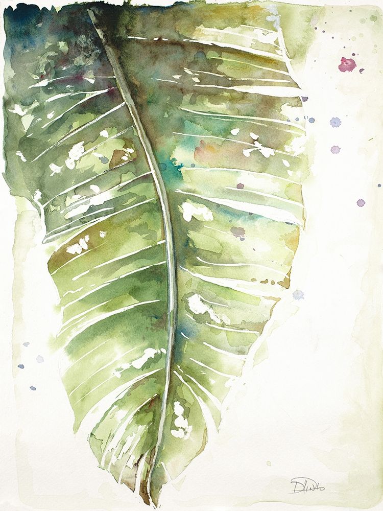 Watercolor Plantain Leaves I art print by Patricia Pinto for $57.95 CAD