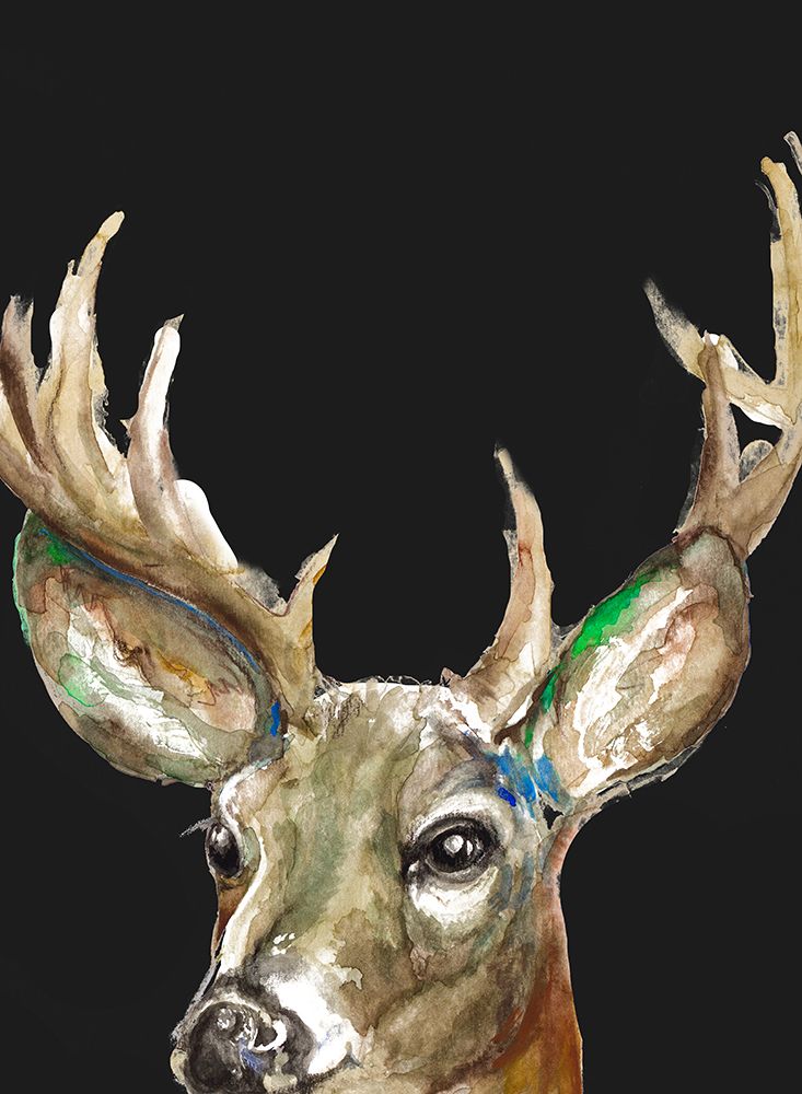 Deer On Black art print by Patricia Pinto for $57.95 CAD