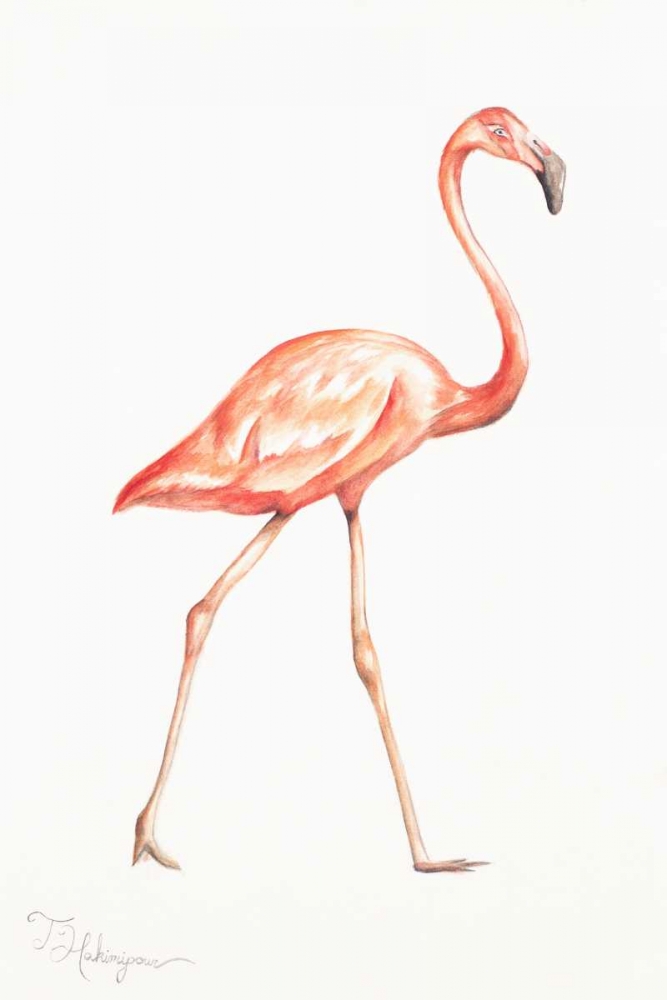 Flamingo Duo I art print by Tiffany Hakimipour for $57.95 CAD