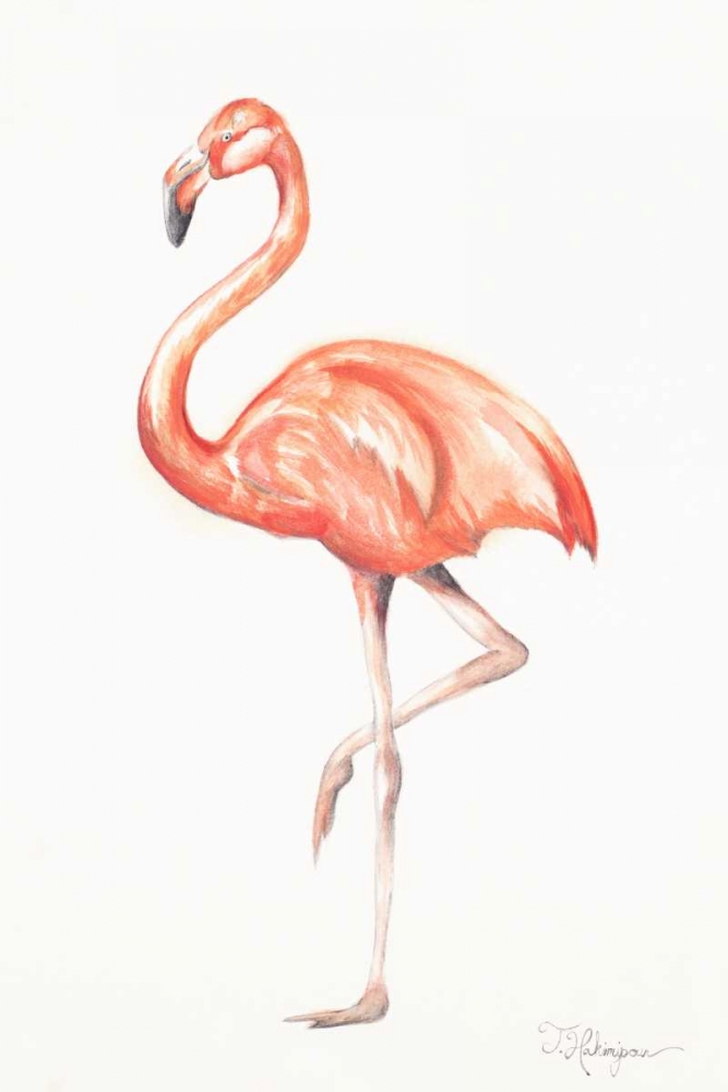 Flamingo Duo II art print by Tiffany Hakimipour for $57.95 CAD
