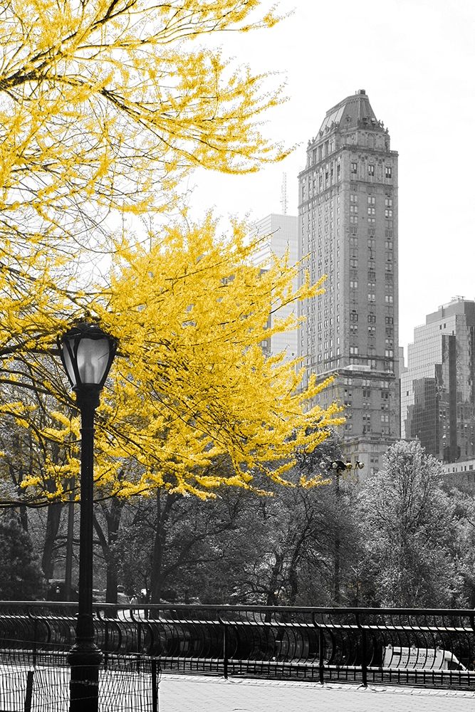 Central Park with Yellow Tree art print by Emily Navas for $57.95 CAD