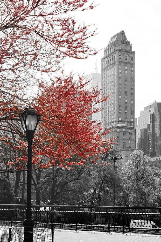 Central Park with Red Tree art print by Emily Navas for $57.95 CAD