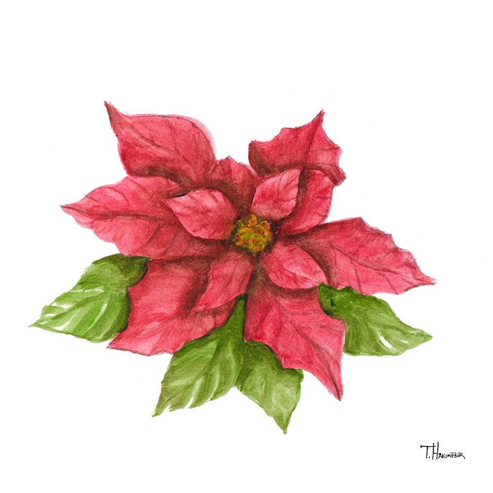 Poinsettia I art print by Tiffany Hakimipour for $57.95 CAD
