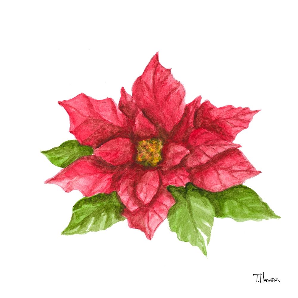 Poinsettia II art print by Tiffany Hakimipour for $57.95 CAD