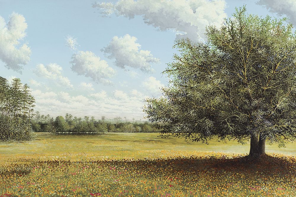 In the Field art print by Bruce Nawrocke for $57.95 CAD