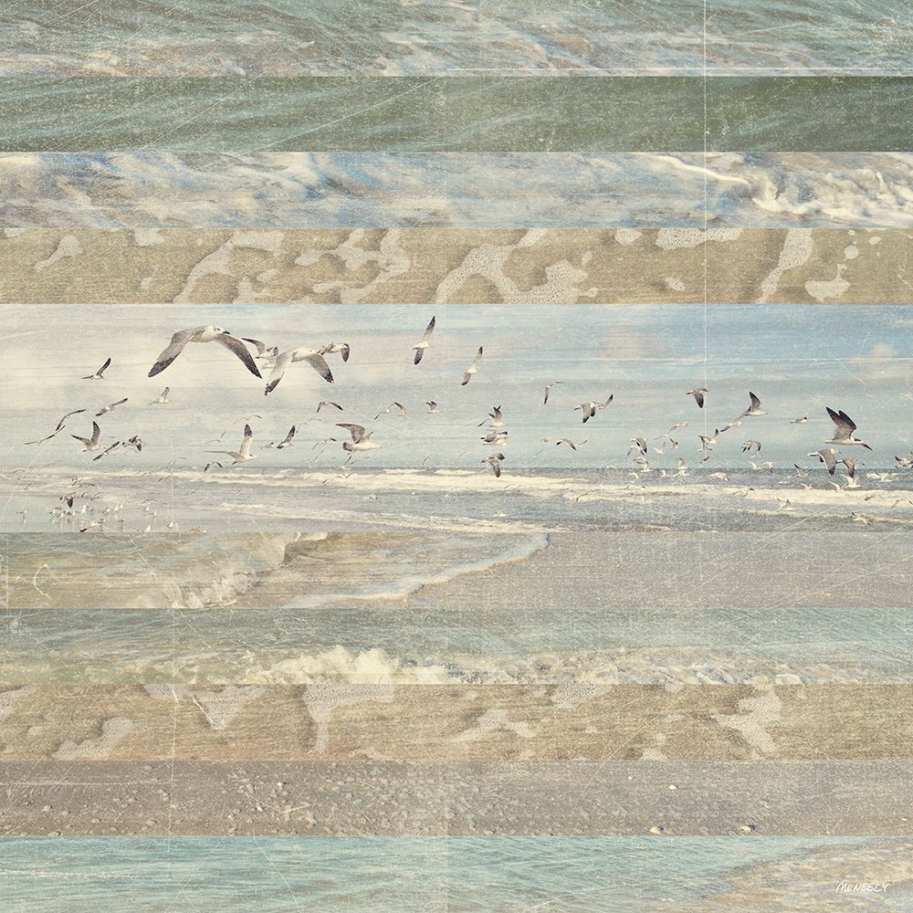 Flying Beach Birds I art print by Dan Meneely for $57.95 CAD