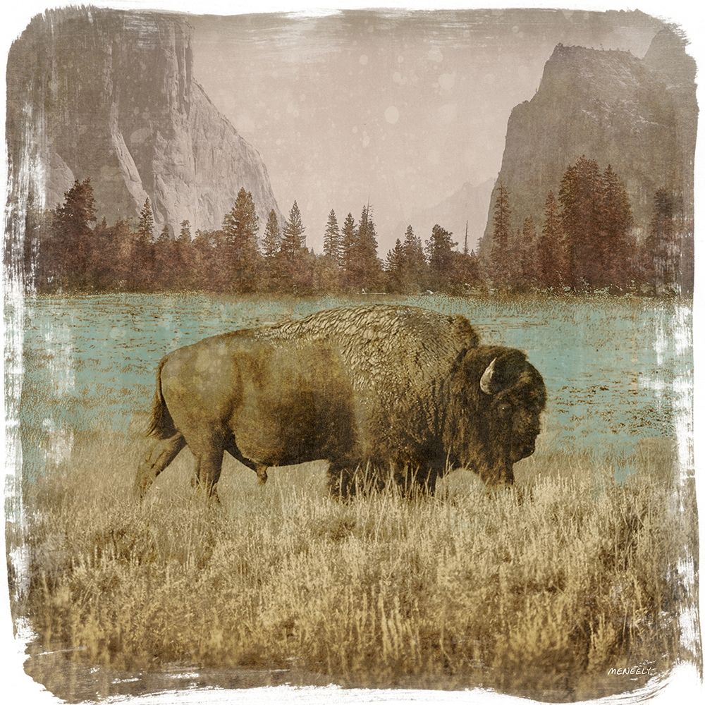 Bison in the Park art print by Dan Meneely for $57.95 CAD