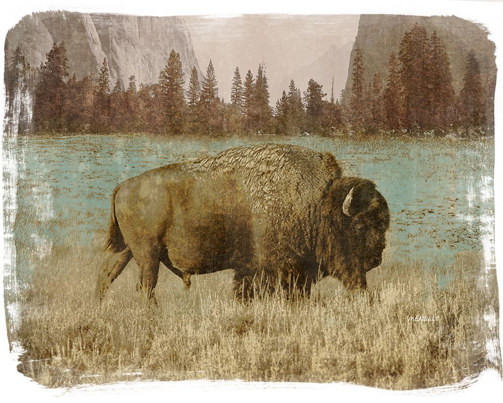 Bison in the Park art print by Dan Meneely for $57.95 CAD