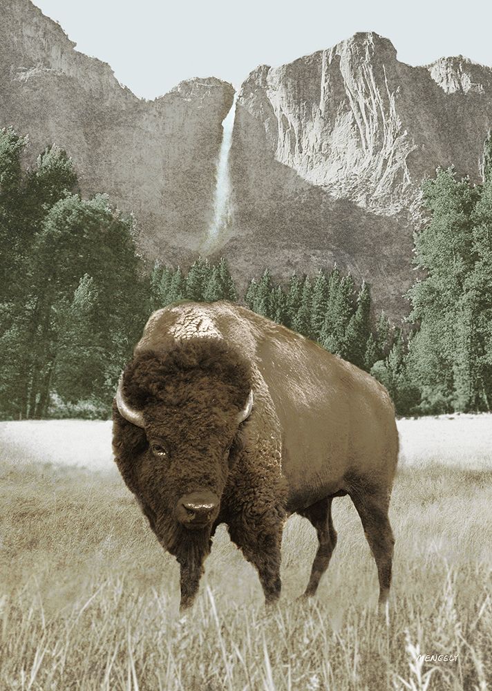 Bison Falls Close Up art print by Dan Meneely for $57.95 CAD