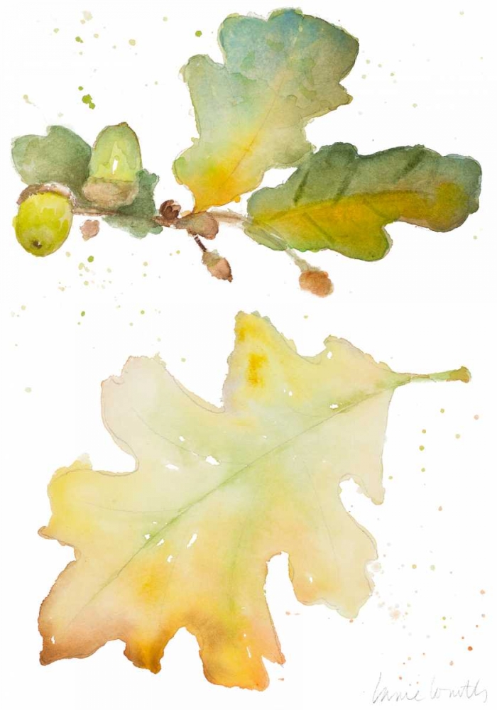 Acorns and Oak Leaves I art print by Lanie Loreth for $57.95 CAD