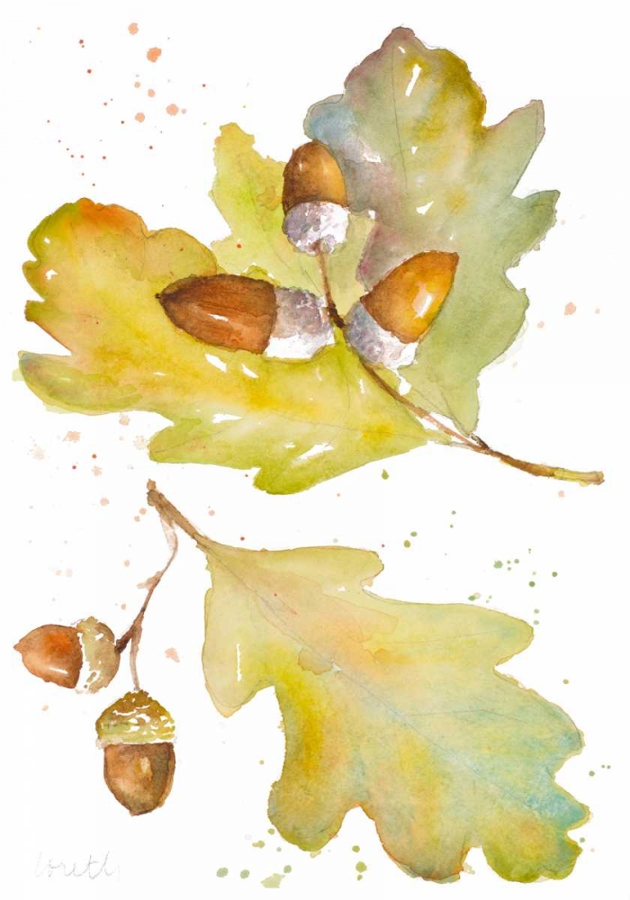 Acorns and Oak Leaves II art print by Lanie Loreth for $57.95 CAD