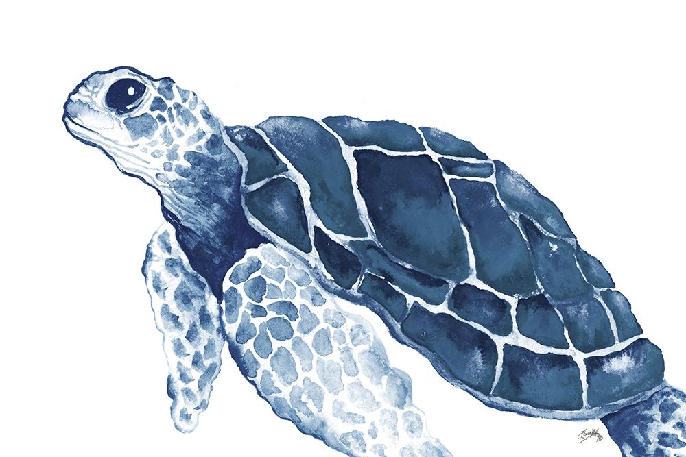 Turtle in the Blues art print by Elizabeth Medley for $57.95 CAD