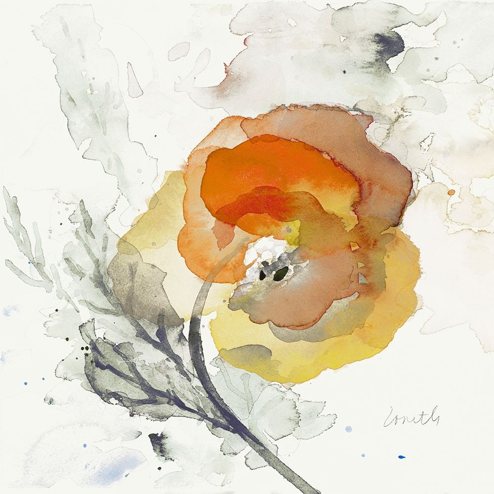 Yellow Poppy II art print by Lanie Loreth for $57.95 CAD