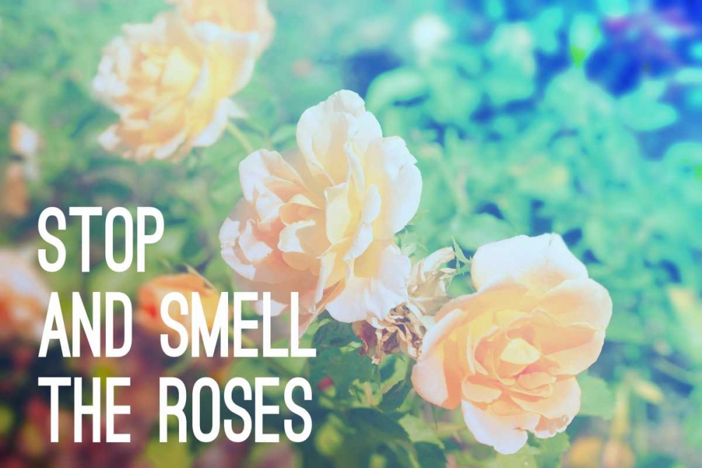 Stop And Smell The Roses art print by Gail Peck for $57.95 CAD
