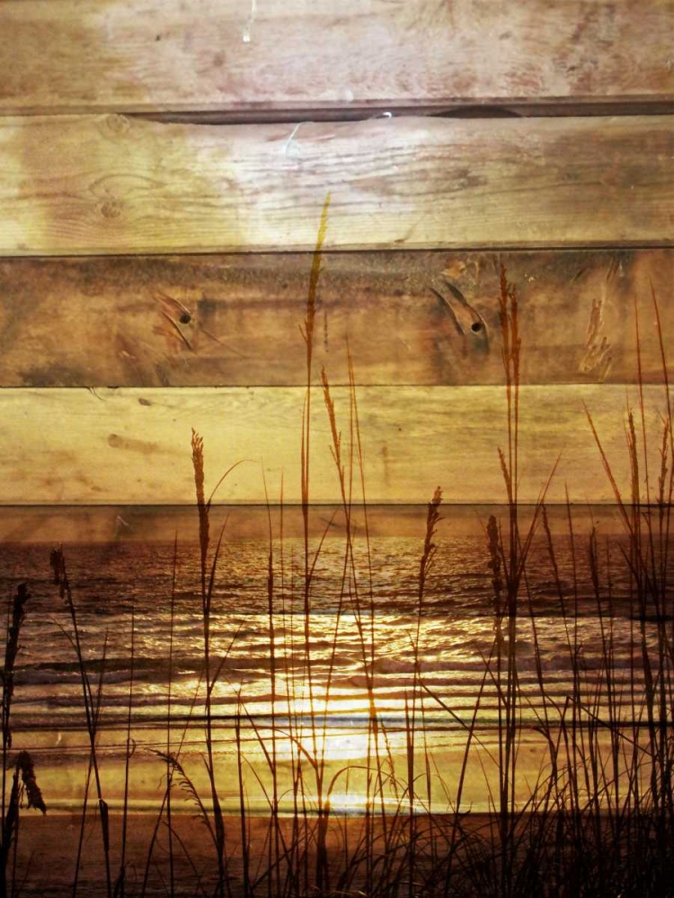 By The Grass Sunset Wood art print by Gail Peck for $57.95 CAD