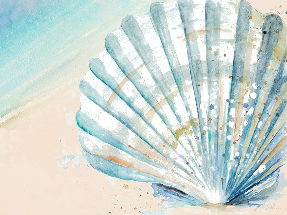 Awashed Shell art print by Patricia Pinto for $57.95 CAD