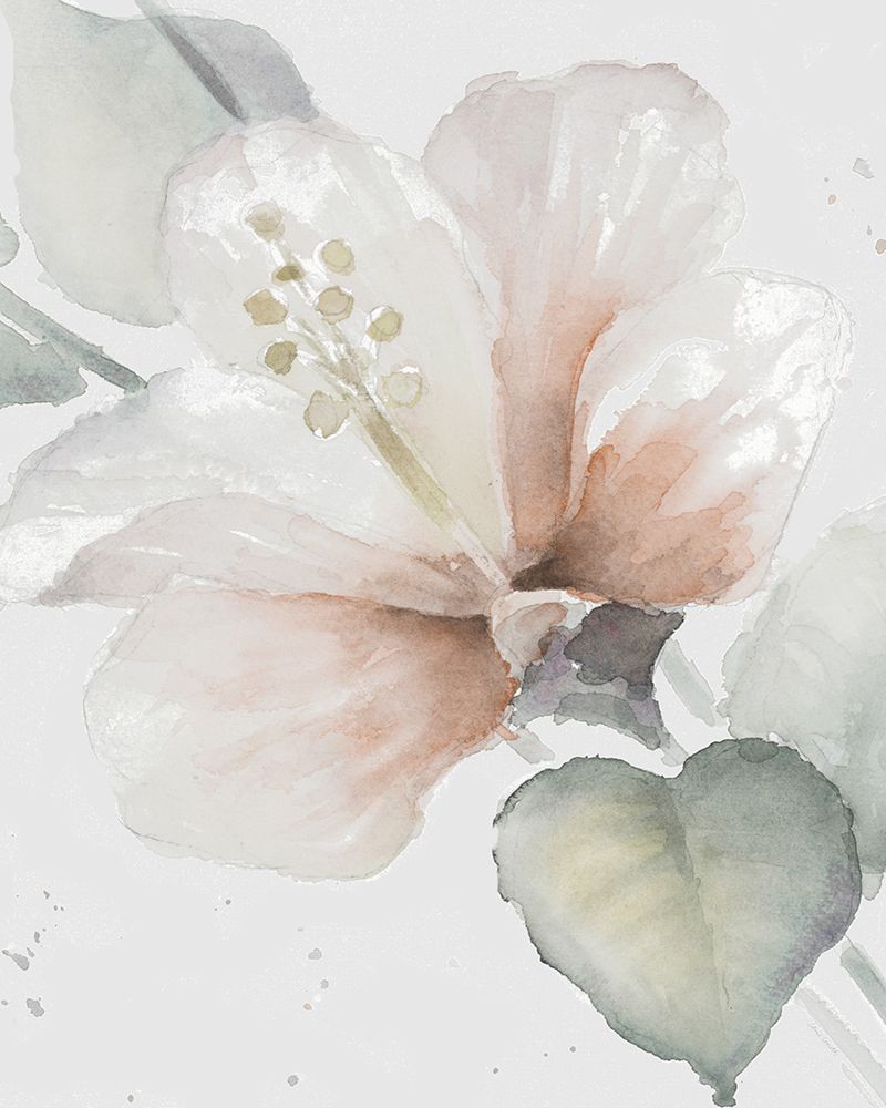 Neutral Hibiscus II art print by Lanie Loreth for $57.95 CAD