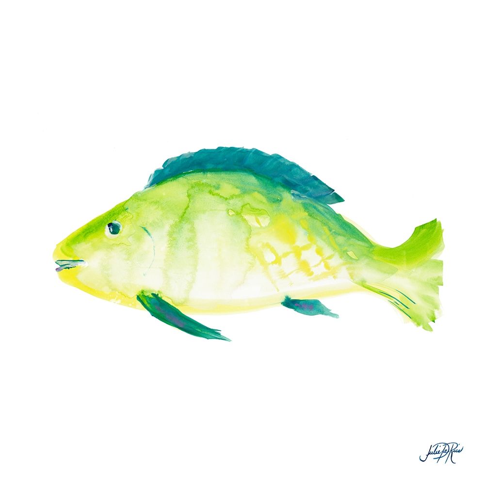 Fish II art print by Julie DeRice for $57.95 CAD