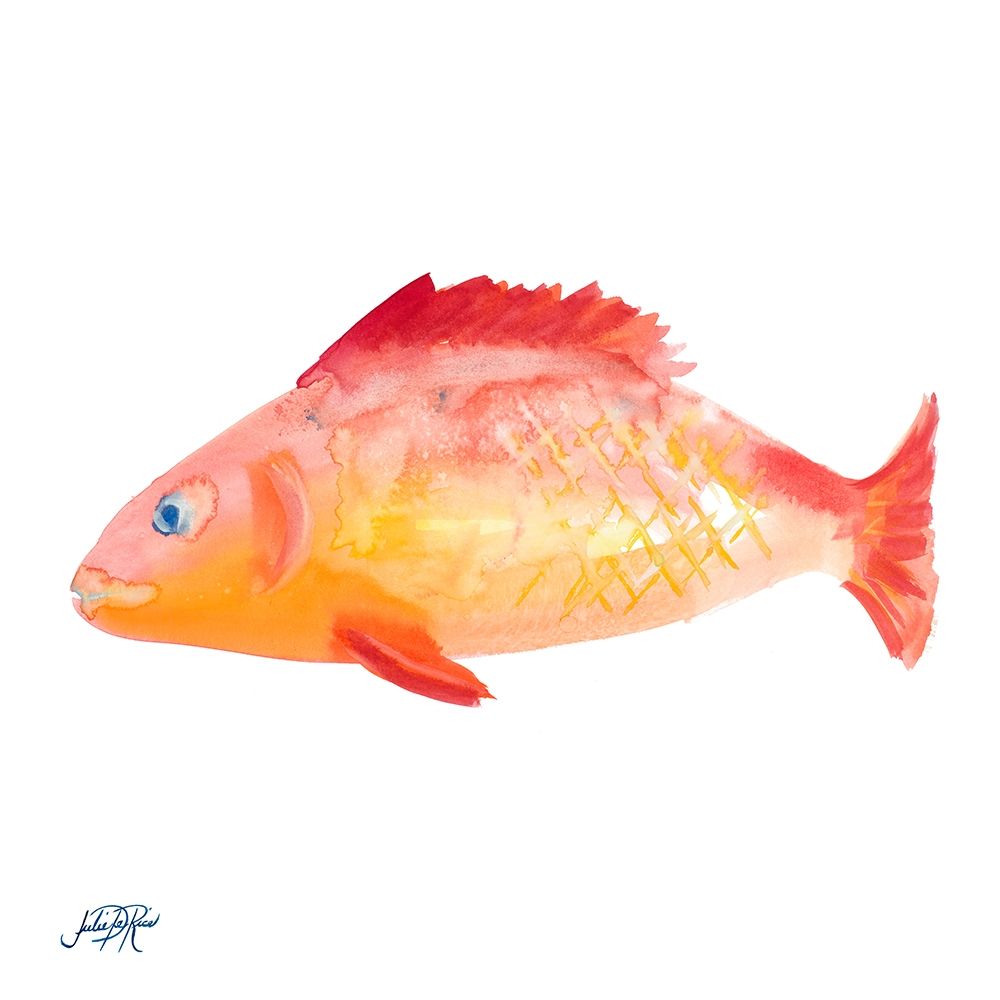 Fish IV art print by Julie DeRice for $57.95 CAD