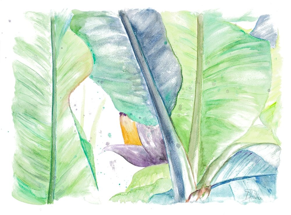 Fresh Banana Plantain art print by Patricia Pinto for $57.95 CAD