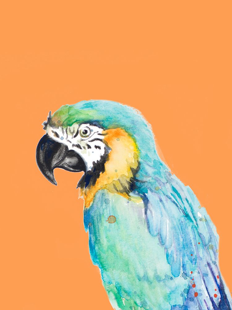 Parrot Portrait art print by Patricia Pinto for $57.95 CAD