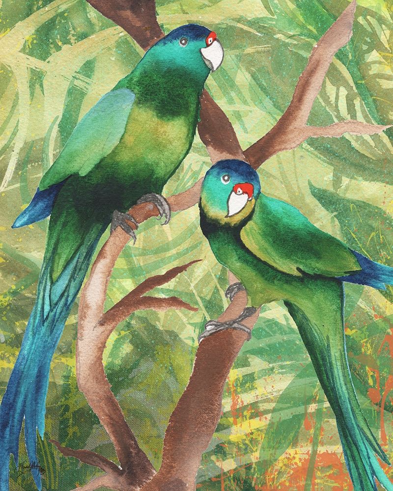 Tropical Birds II art print by Elizabeth Medley for $57.95 CAD