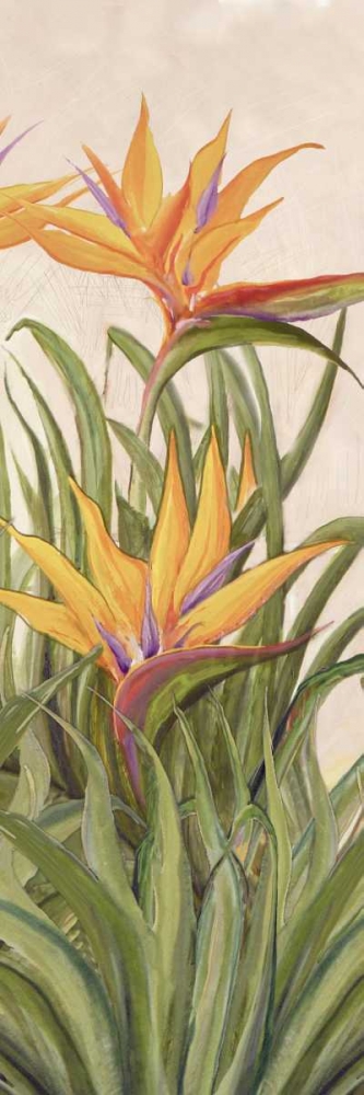 Bird of Paradise Panel I art print by Diannart for $57.95 CAD