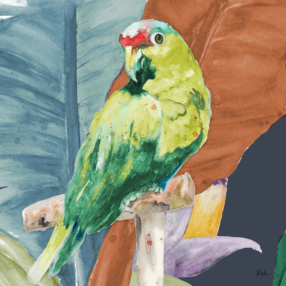 Tropical Parrot art print by Patricia Pinto for $57.95 CAD