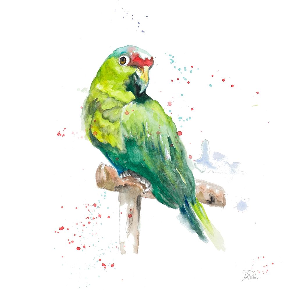 Amazon Parrot II art print by Patricia Pinto for $57.95 CAD