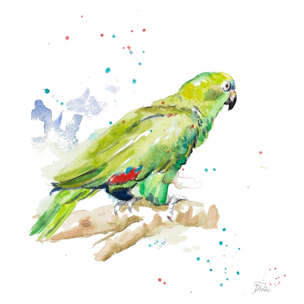 Amazon Parrot III art print by Patricia Pinto for $57.95 CAD