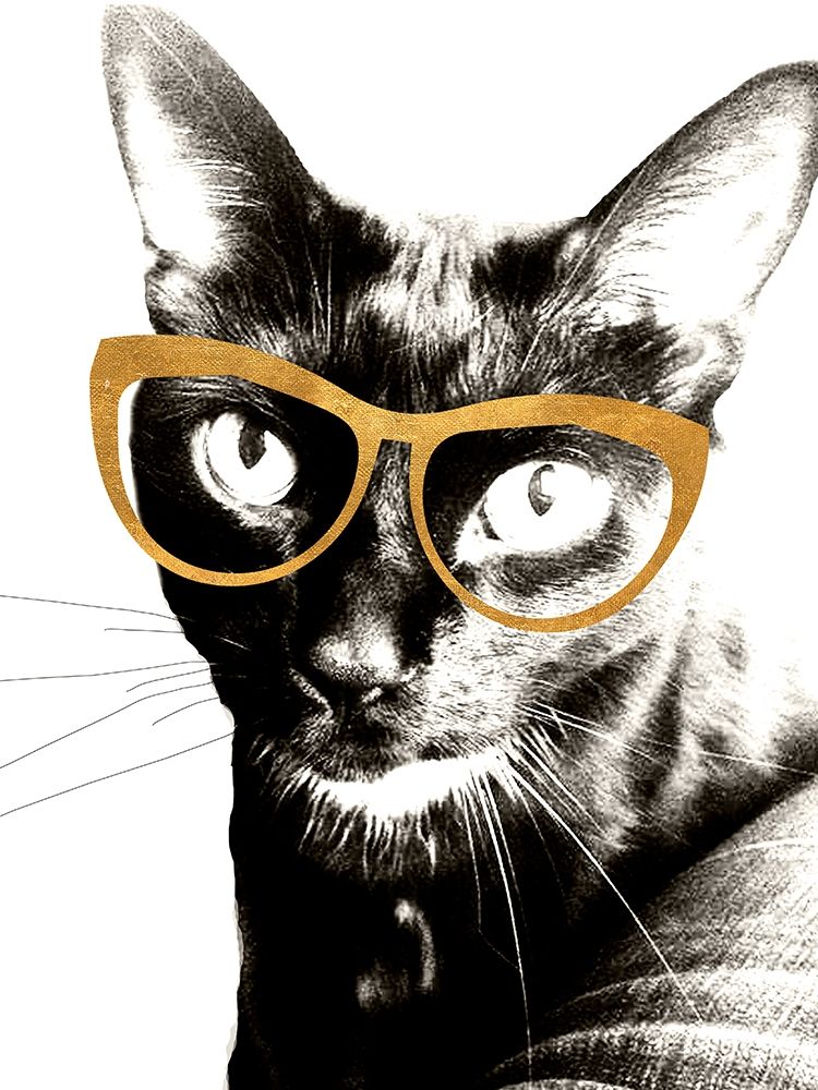 Cool Kat art print by Kali Wilson for $57.95 CAD