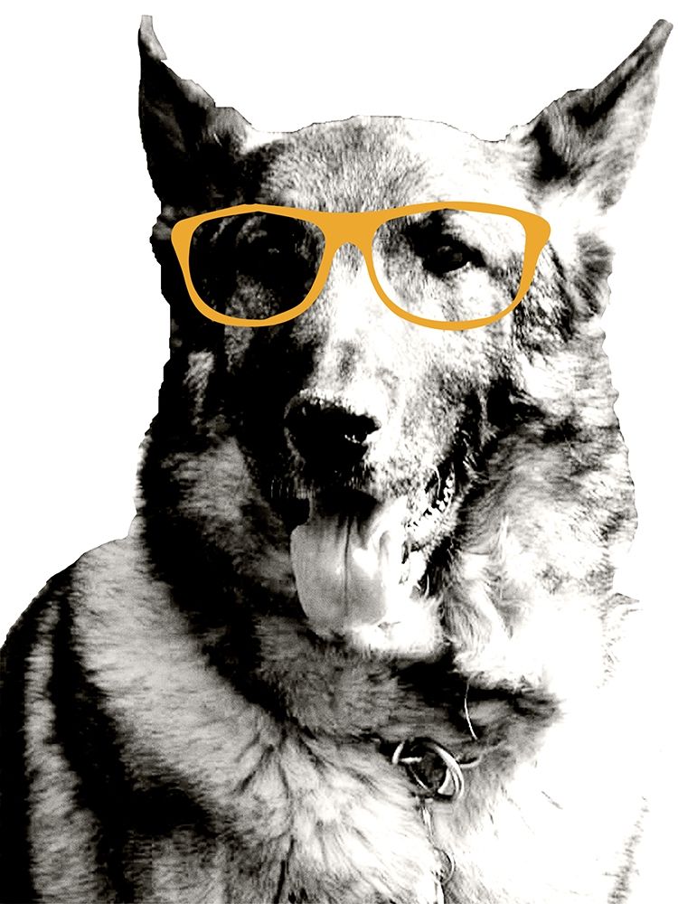 Cool Dog art print by Kali Wilson for $57.95 CAD