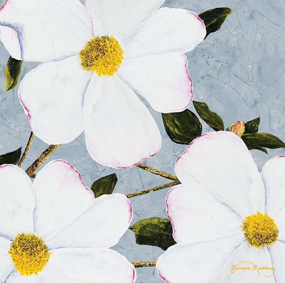 White Floral II art print by James Redding for $57.95 CAD