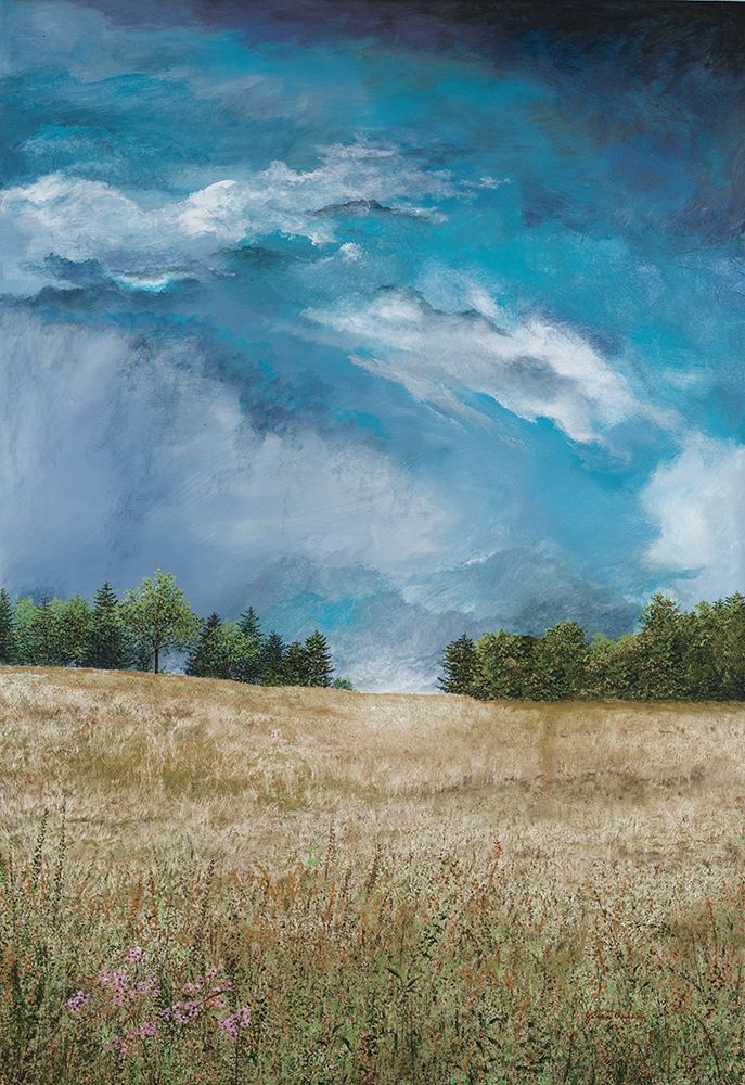 Approaching Storm (no barn) art print by James Redding for $57.95 CAD