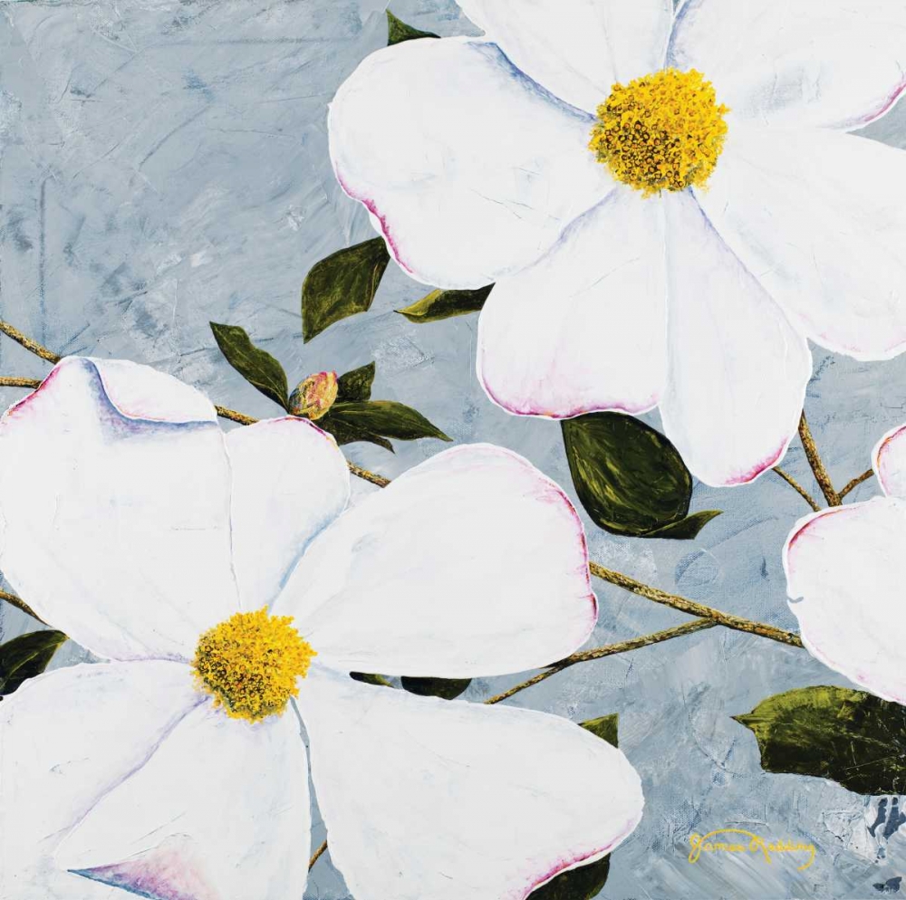 White Floral I art print by James Redding for $57.95 CAD