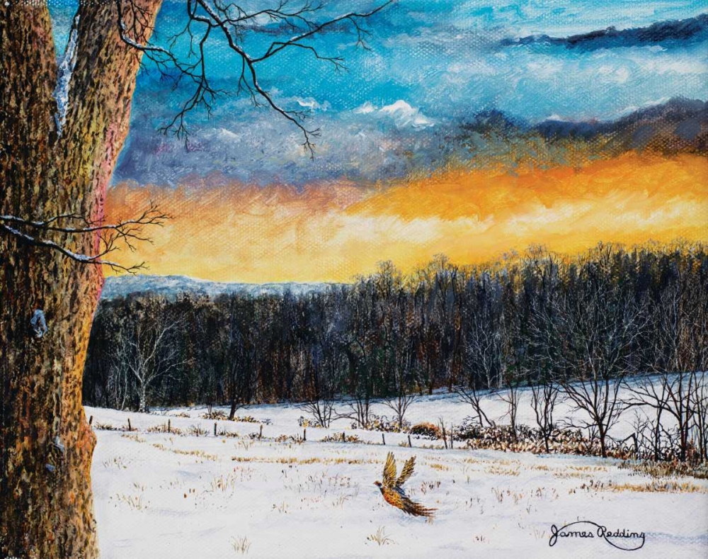 Fiery Sky art print by James Redding for $57.95 CAD