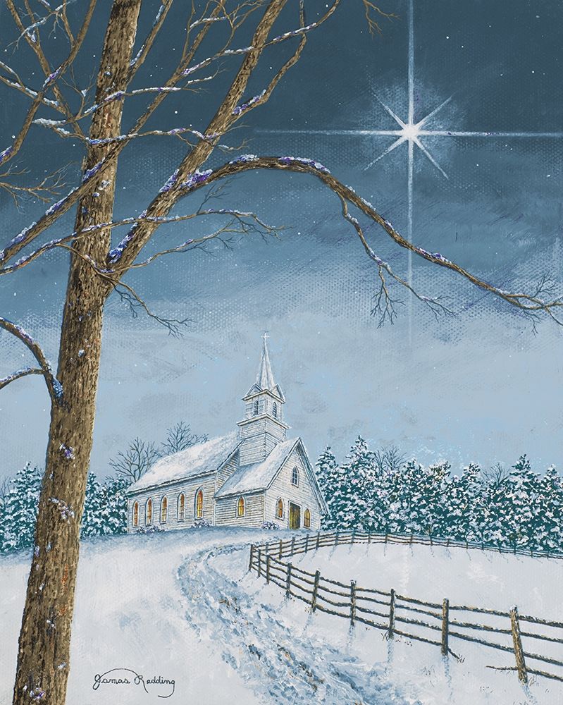 Shining Holiday Star art print by James Redding for $57.95 CAD