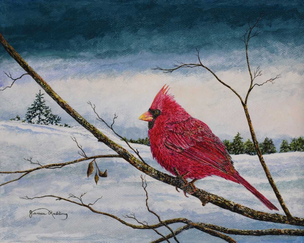 Cardinal In A Pastel Sky art print by James Redding for $57.95 CAD