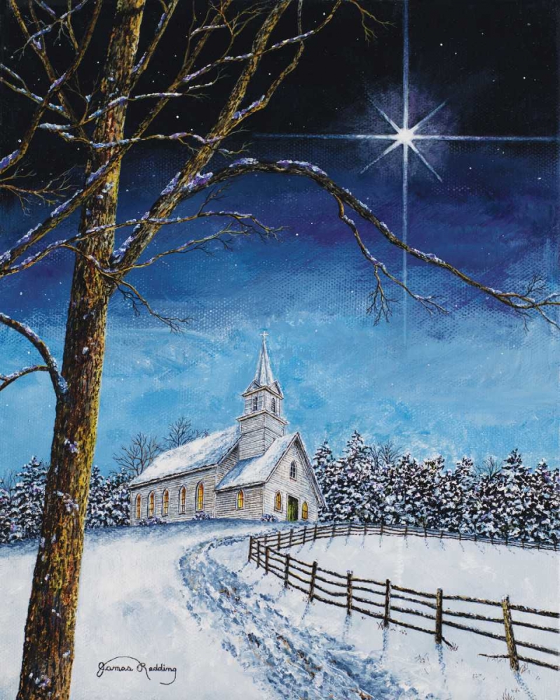 Bright Star art print by James Redding for $57.95 CAD