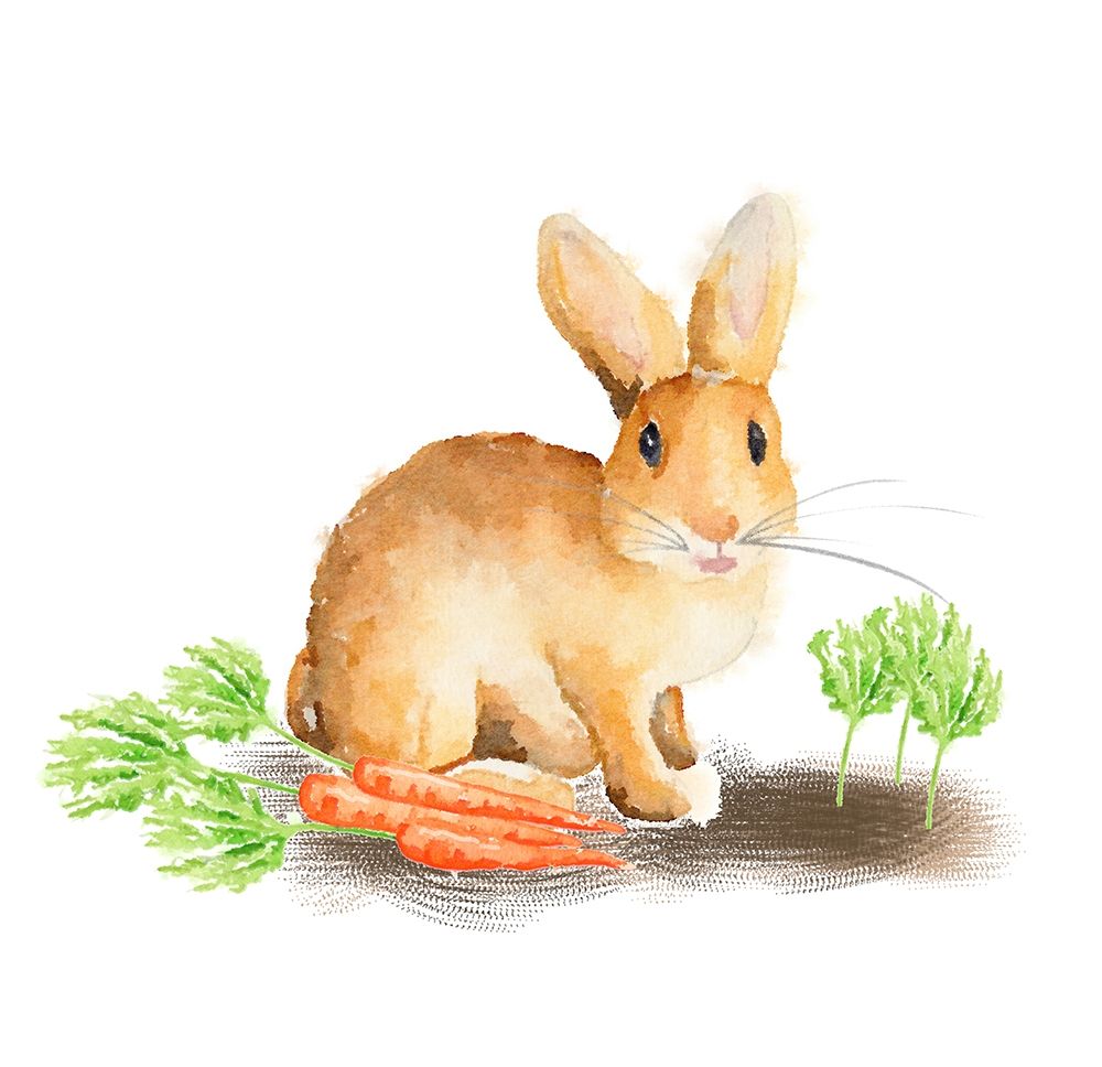 Spring Bunny III art print by Andi Metz for $57.95 CAD