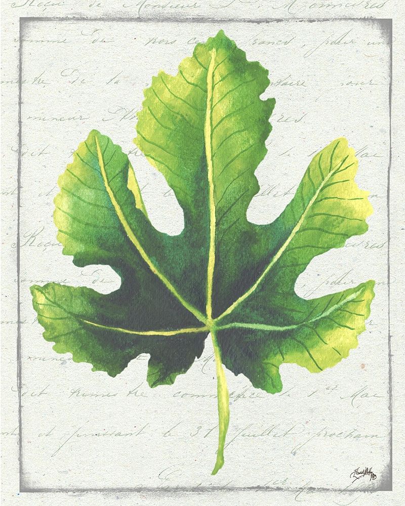 Emerald Leaf I art print by Elizabeth Medley for $57.95 CAD