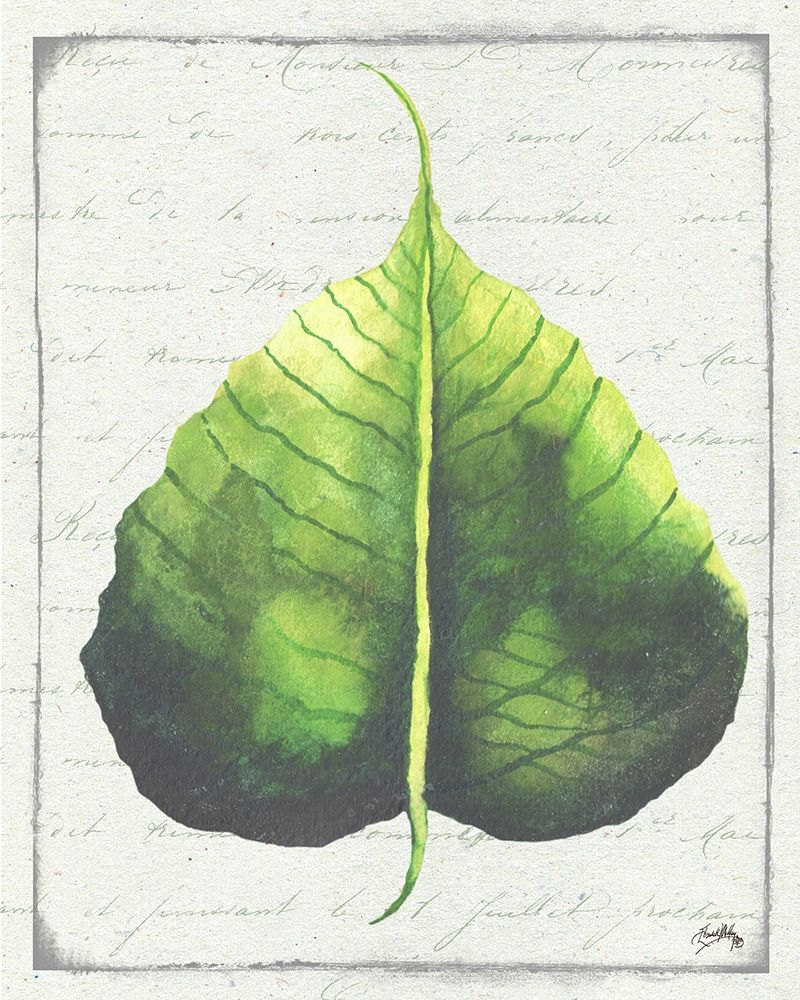 Emerald Leaf II art print by Elizabeth Medley for $57.95 CAD