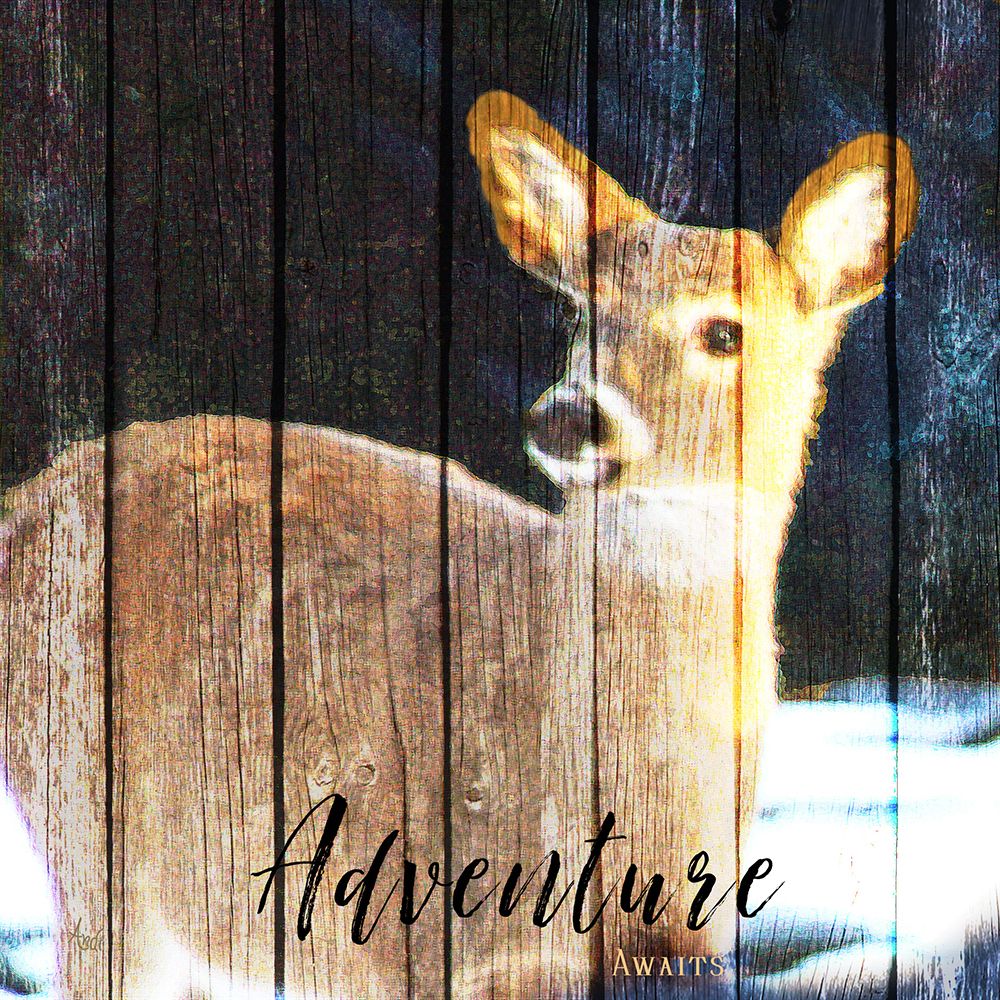 Adventure Awaits art print by Andi Metz for $57.95 CAD