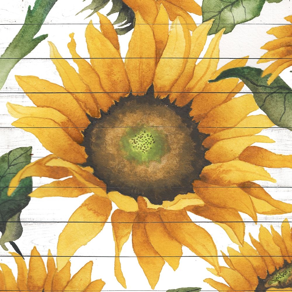 Happy Sunflower I art print by Elizabeth Medley for $57.95 CAD