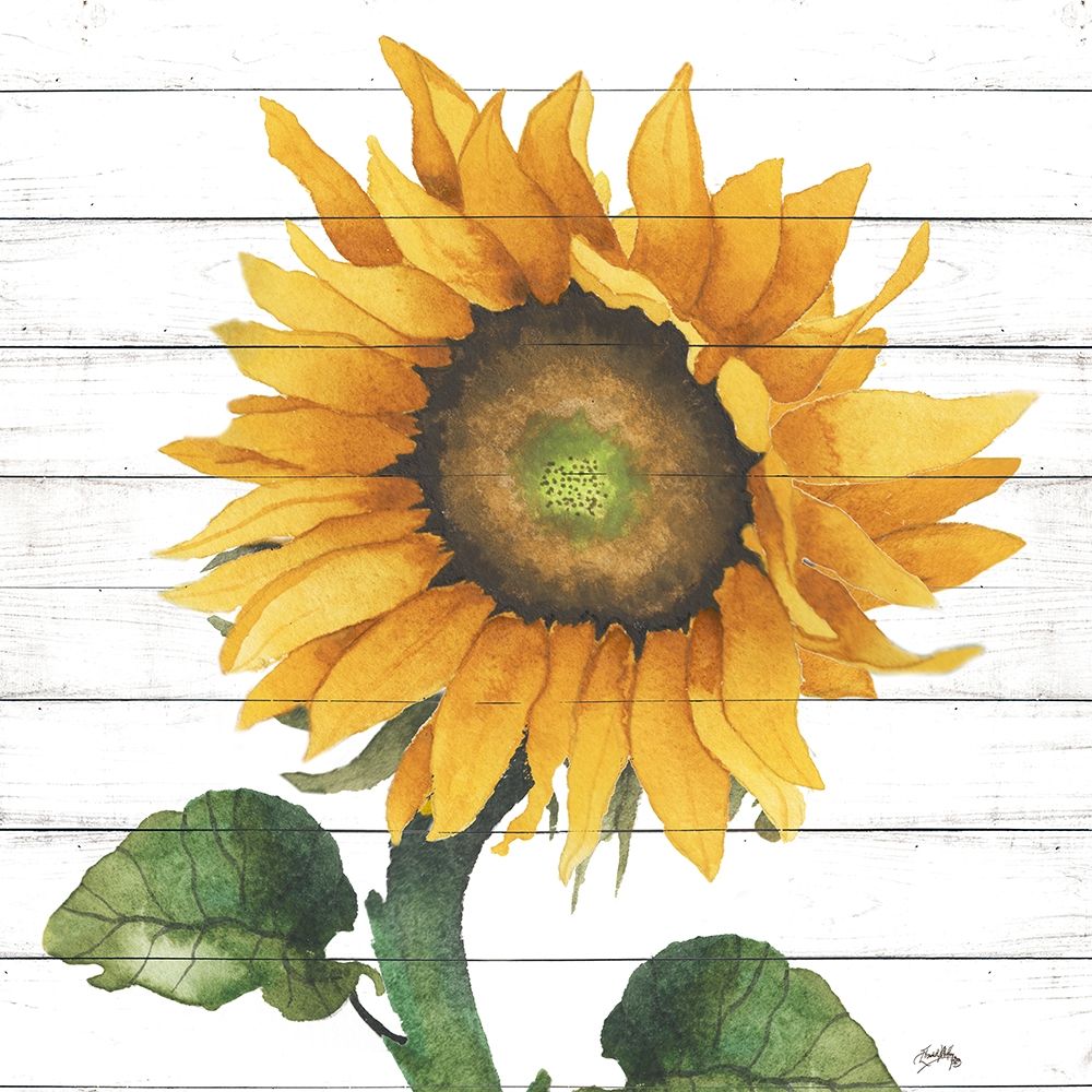 Happy Sunflower II art print by Elizabeth Medley for $57.95 CAD