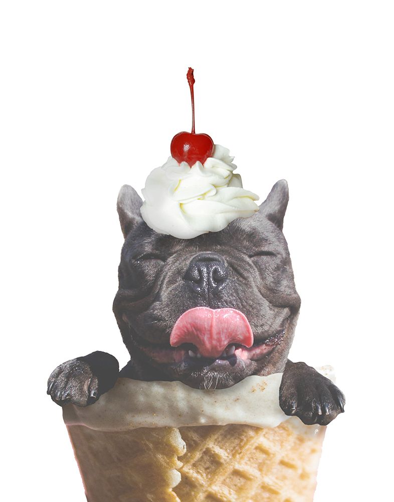 Ice Cream Dog art print by SD Graphics Studio for $57.95 CAD